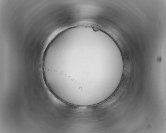 X0000090711478200708101455