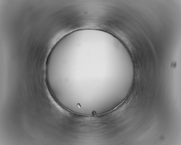 X0000090711479200708101455