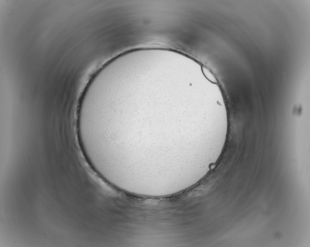 X0000090711480200708101455