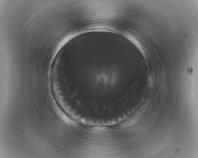 X0000090711482200708101455