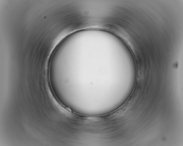 X0000090711483200708101455