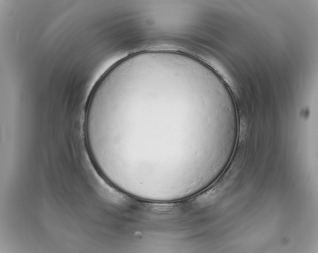 X0000090711484200708101454