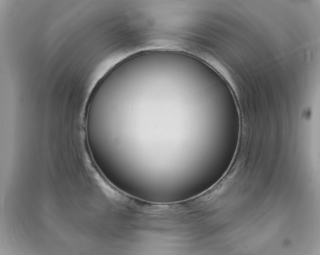 X0000090711485200708101454