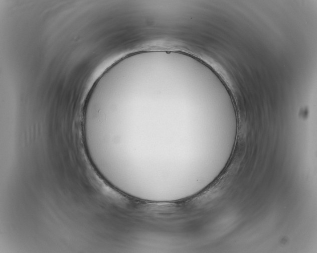 X0000090711486200708101454