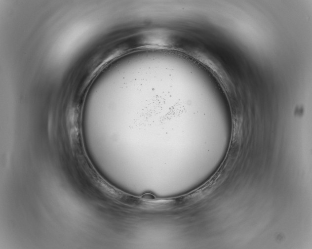 X0000090711487200708101454