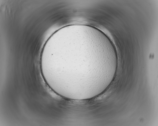 X0000090711488200708101454