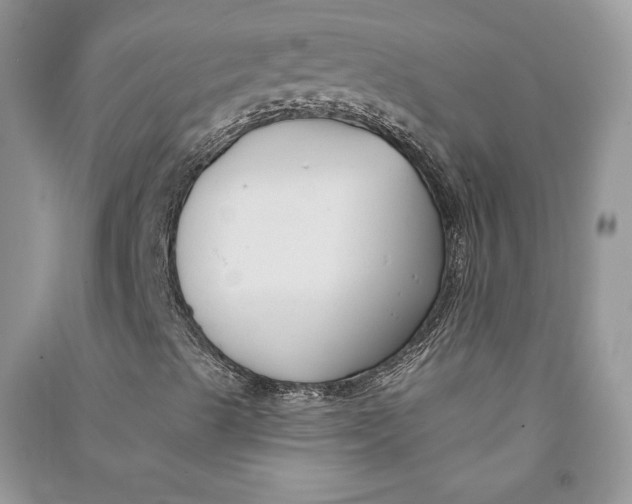 X0000090711489200708101454