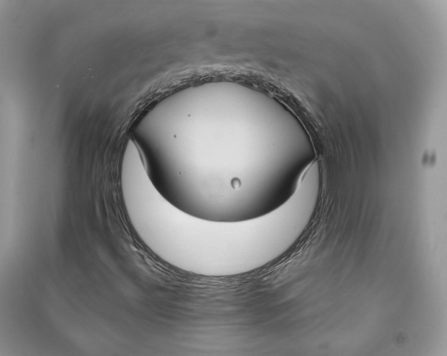 X0000090711492200708101454