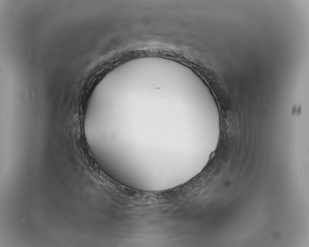 X0000090711493200708101454