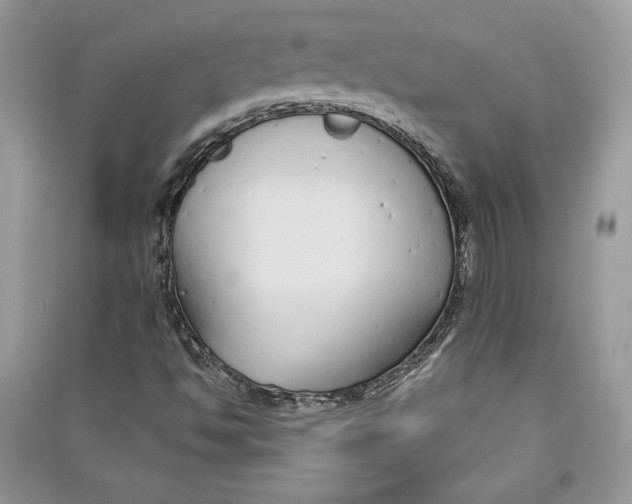 X0000090711494200708101454