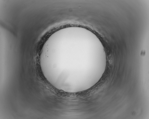 X0000090711495200708101454