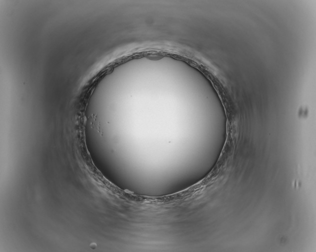 X0000090711496200708101454