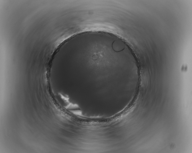 X0000090711497200708101454