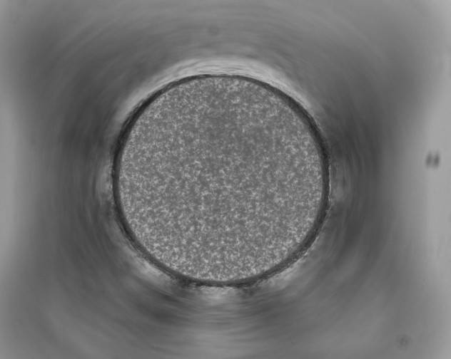 X0000090711498200708101454