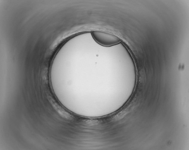 X0000090711499200708101454