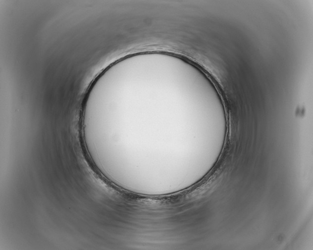 X0000090711500200708101454