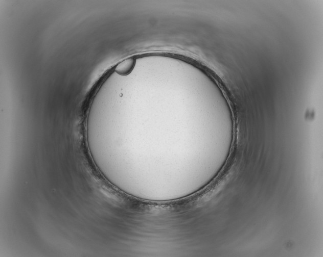 X0000090711501200708101454