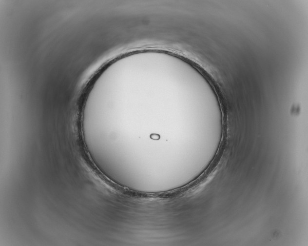 X0000090711502200708101454