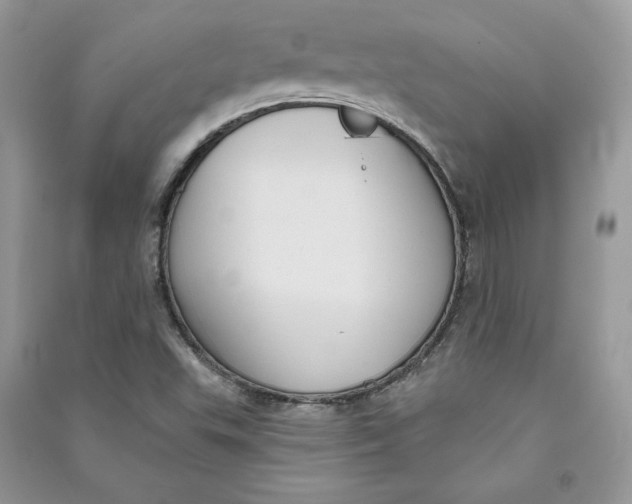 X0000090711503200708101454