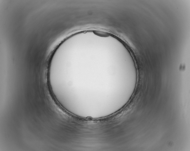 X0000090711504200708101454