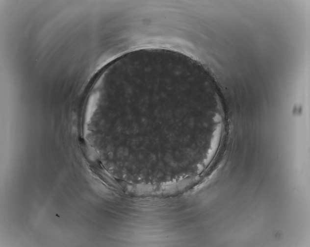 X0000090711505200708101454