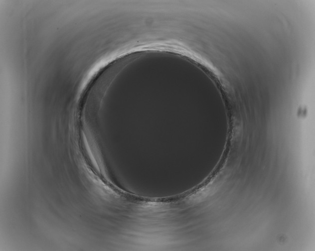 X0000090711506200708101454