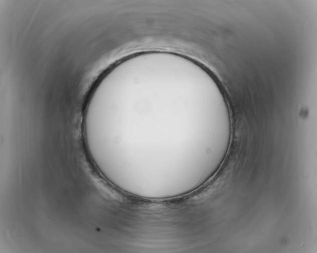 X0000090711507200708101454