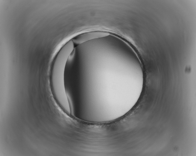 X0000090711508200708101454