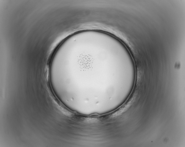 X0000090711509200708101454