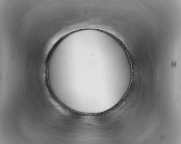 X0000090711511200708101454