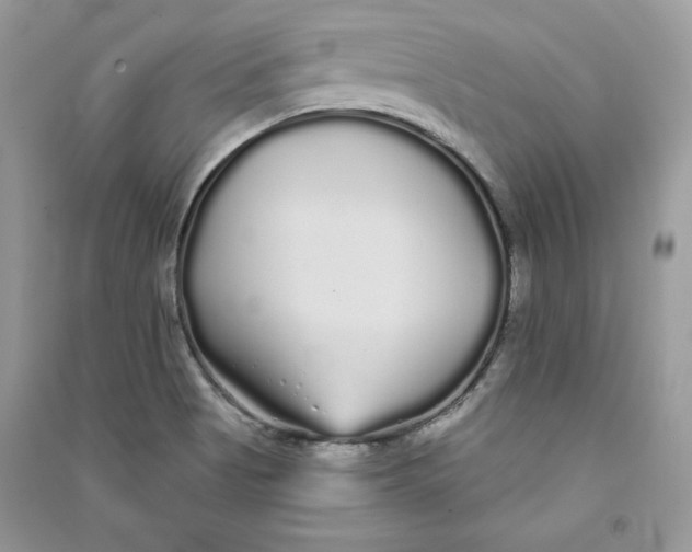 X0000090711513200708101454