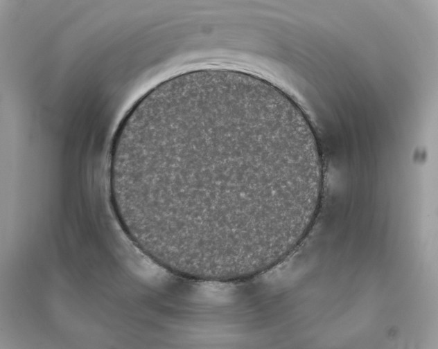 X0000090711514200708101454