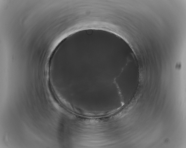 X0000090711515200708101454