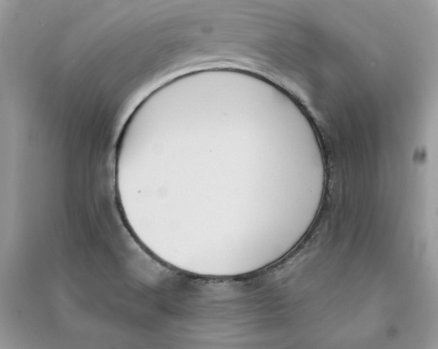 X0000090711516200708101454