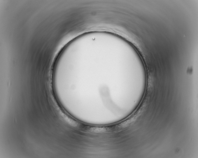 X0000090711517200708101454