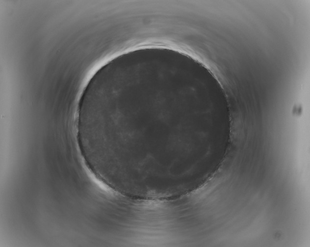 X0000090711519200708101454