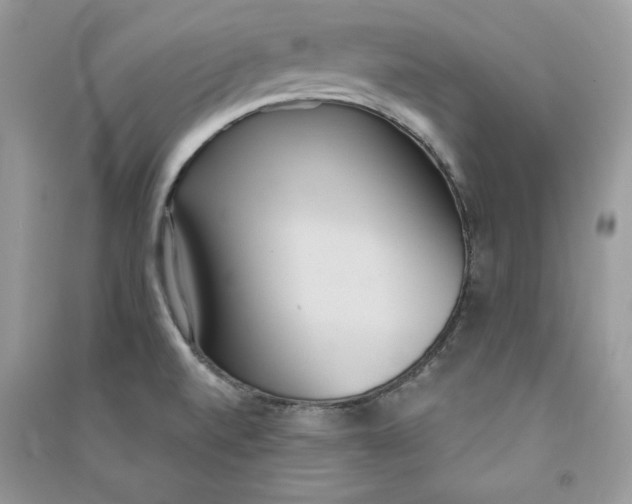 X0000090711520200708101454