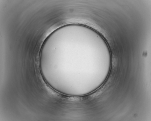 X0000090711521200708101454