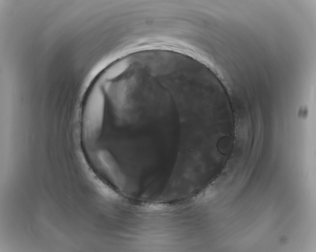 X0000090711522200708101454