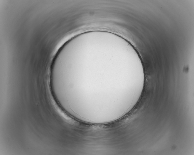 X0000090711523200708101454