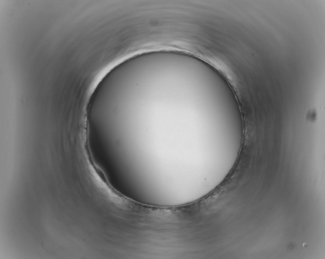 X0000090711524200708101454