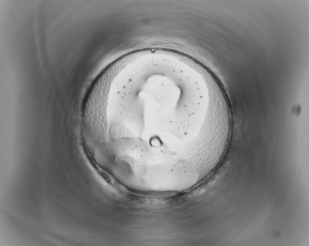 X0000090711525200708101454