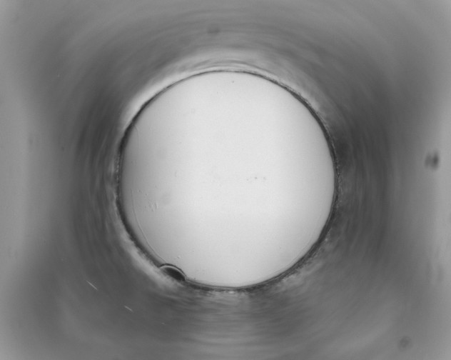 X0000090711526200708101454