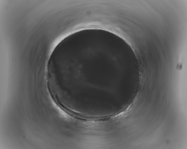 X0000090711527200708101454