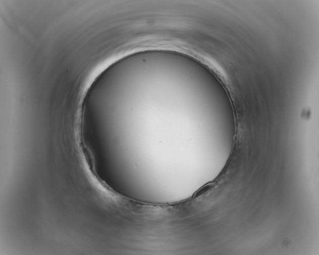 X0000090711528200708101454