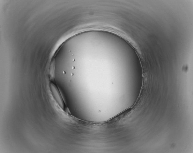 X0000090711530200708101454