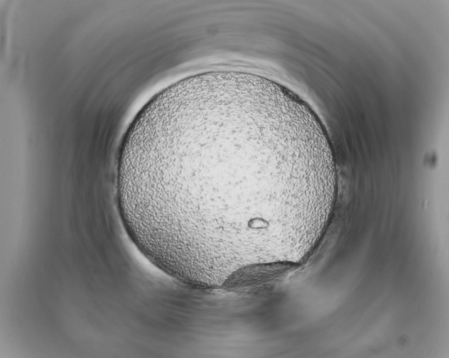 X0000090711531200708101454