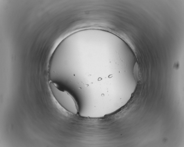 X0000090711532200708101454