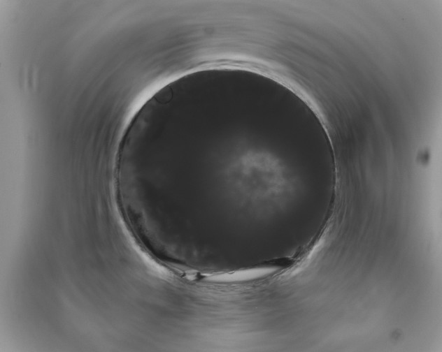 X0000090711533200708101454