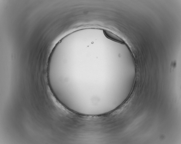 X0000090711534200708101454